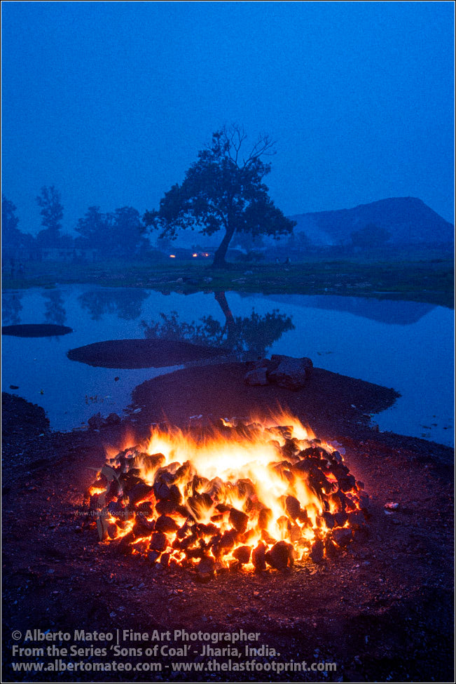 Bonfire and Tree at Dusk, Sons of Coal Series.